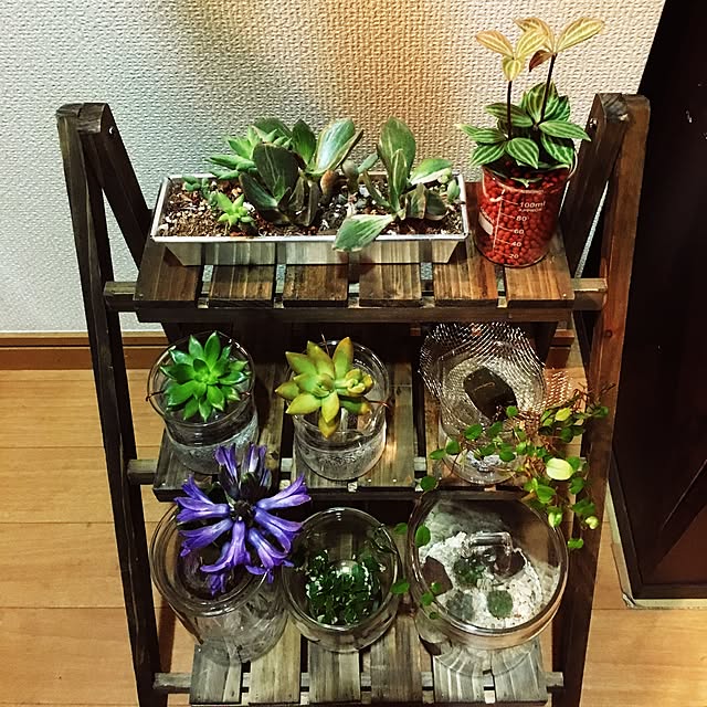 sadaさんの実例写真