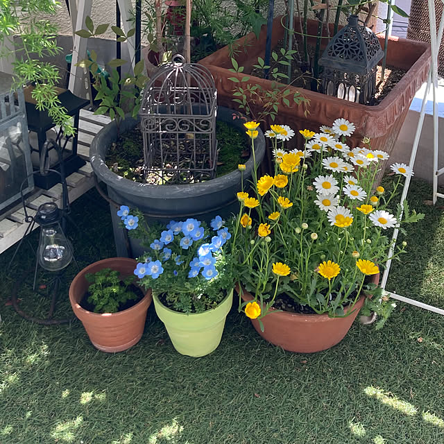 madamkaoriさんの実例写真