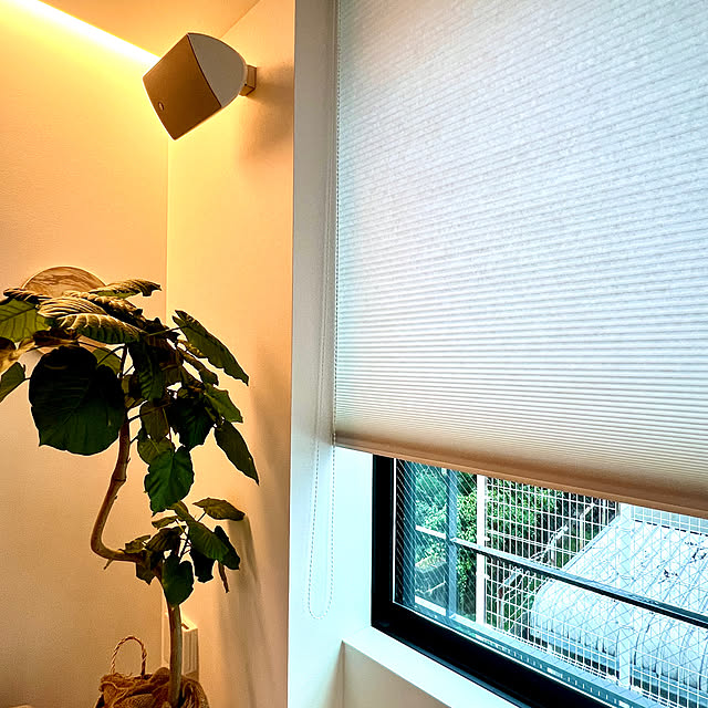 lrikaさんの部屋