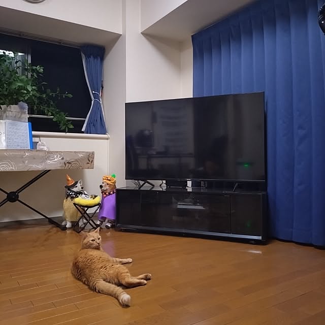 NOAHさんの実例写真