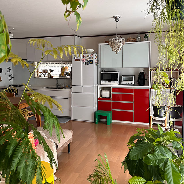 65-24oxoさんの実例写真