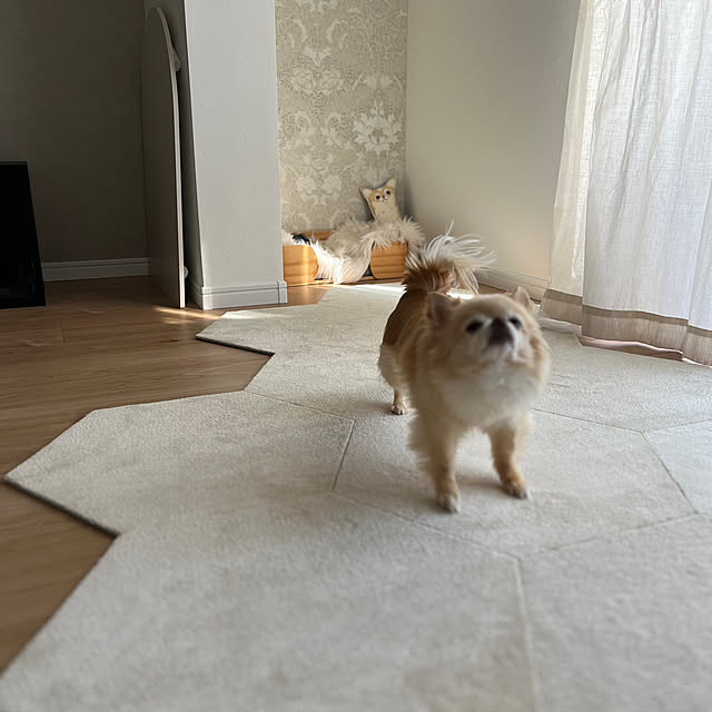 mariさんの部屋