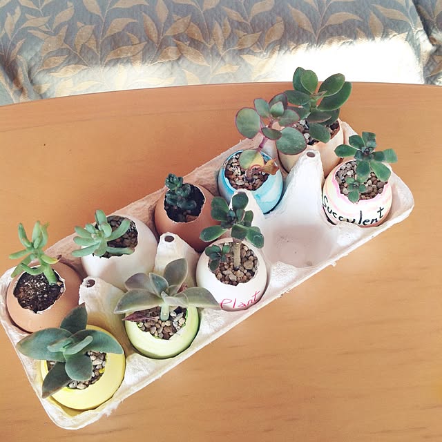 tarohagiharaさんの実例写真