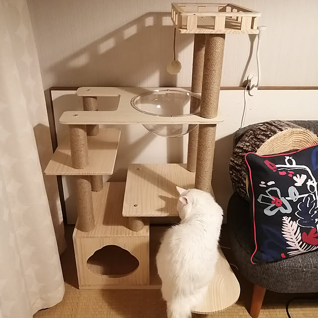 miyuさんの実例写真