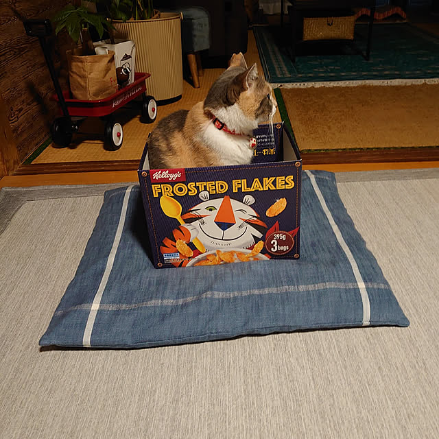 fukuさんの実例写真
