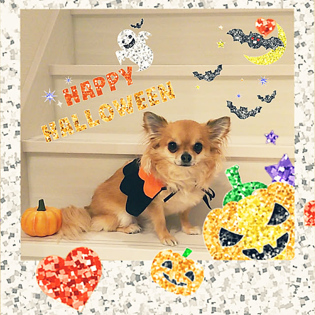 kojikojiさんの実例写真
