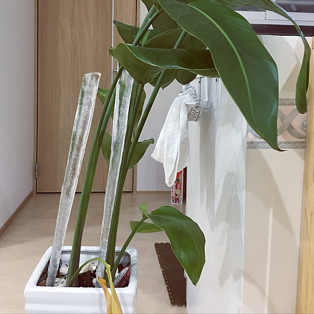 enbeiさんの実例写真