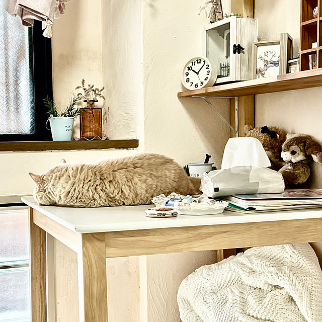 naokoさんの部屋