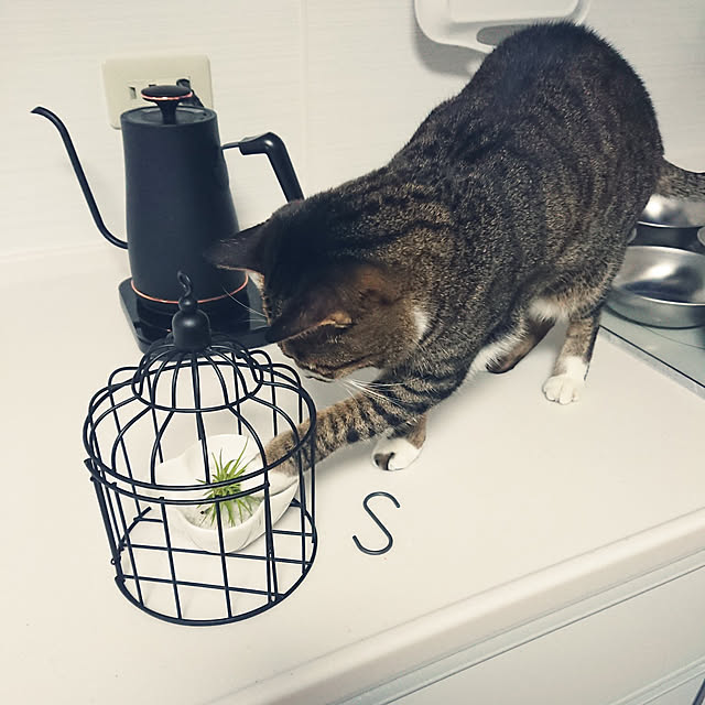 nachiさんの実例写真