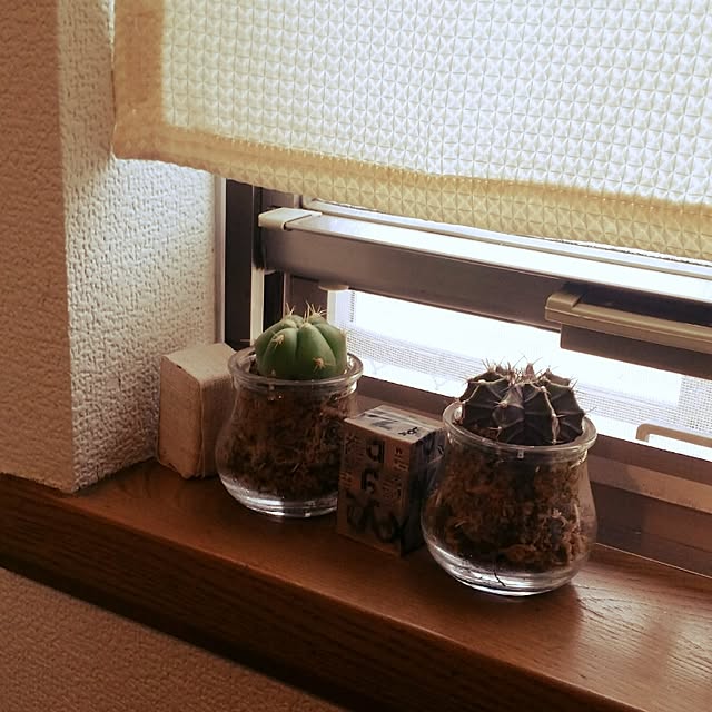 kinokoさんの実例写真