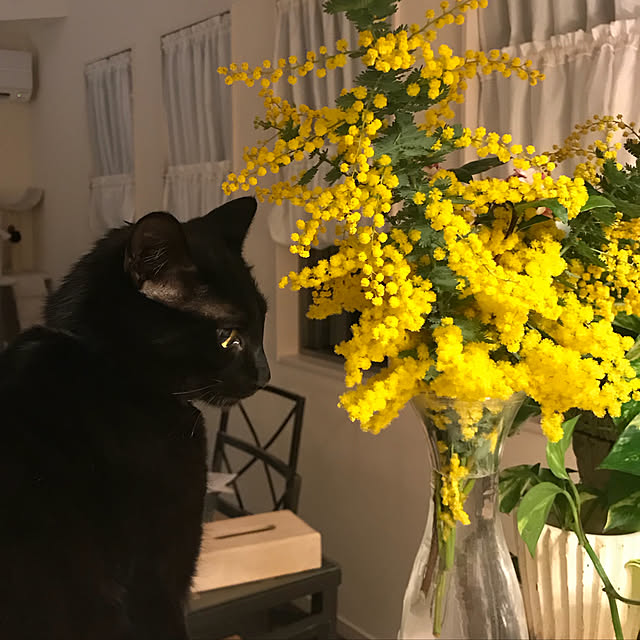Tomococoroさんの実例写真