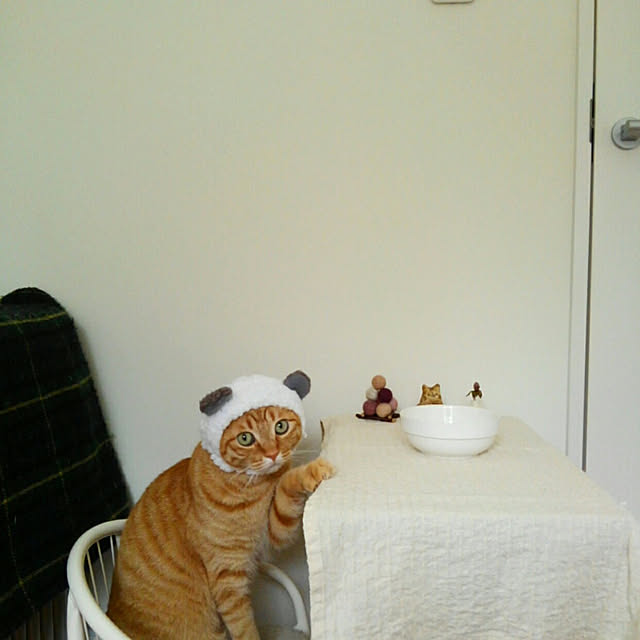 mayutan.さんの実例写真