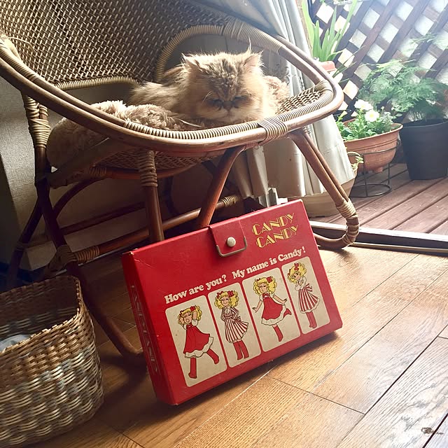 miyapp.hiroppさんの実例写真