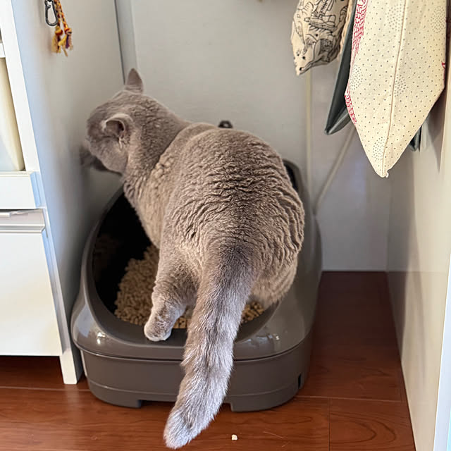 chulashihoさんの部屋