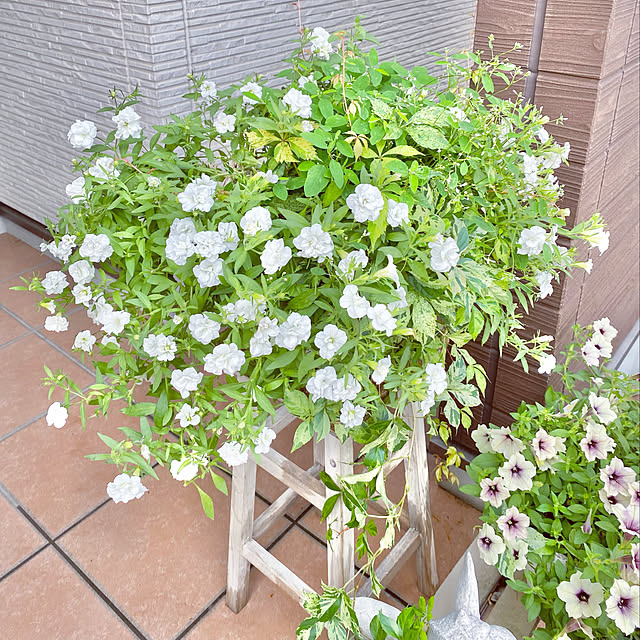 Re_さんの実例写真