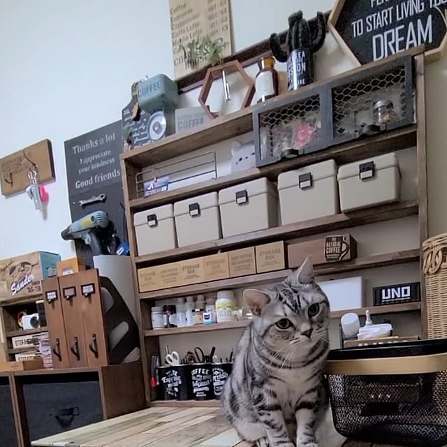 lovepeaceさんの実例写真