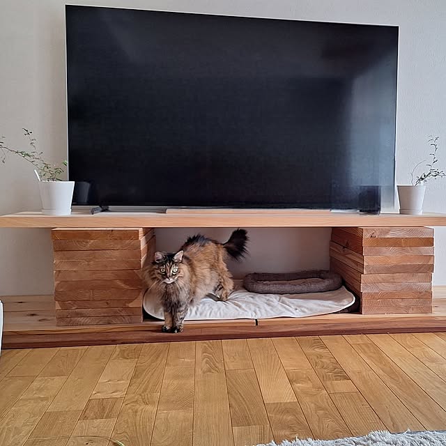 toramonaさんの部屋
