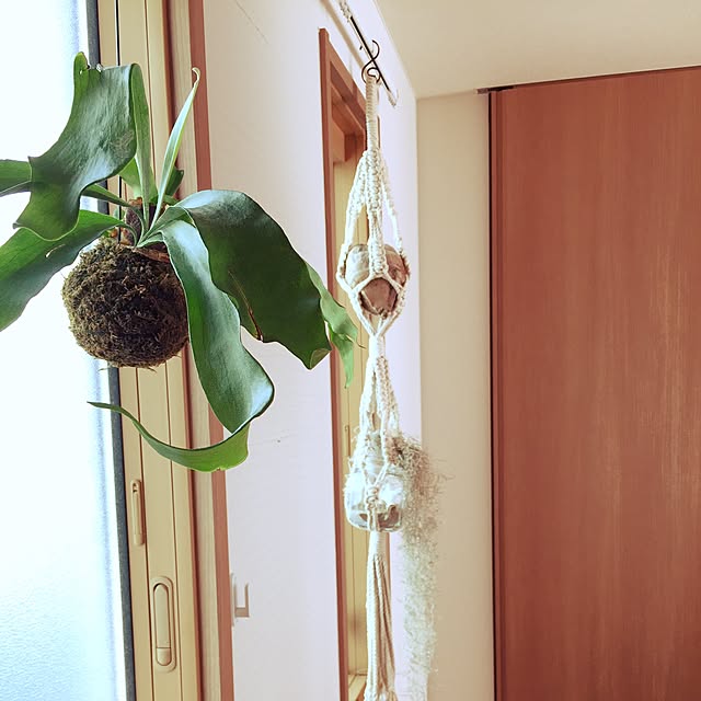kaipon.mamさんの実例写真