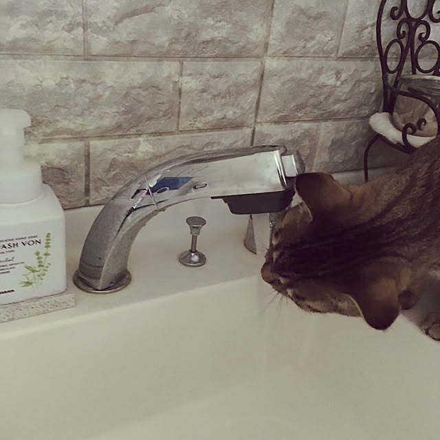 mikomaruさんの実例写真