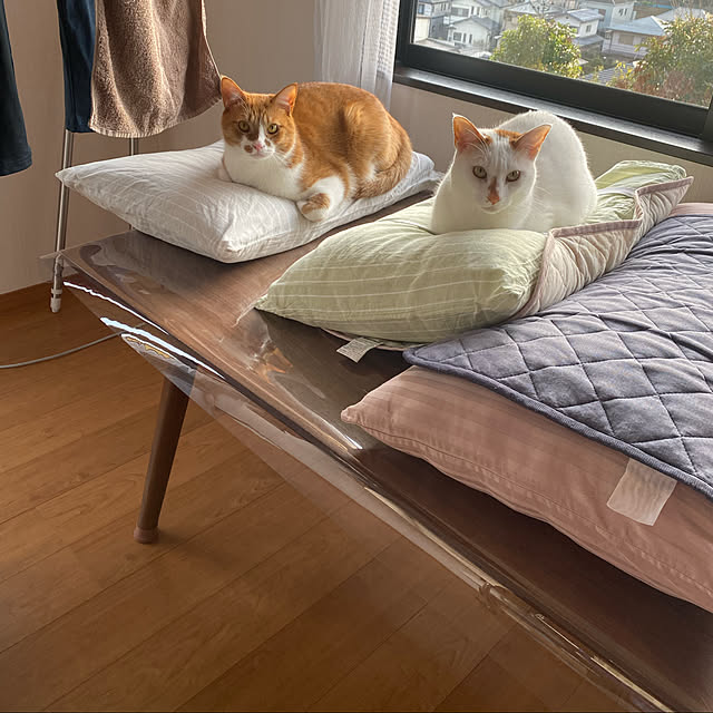 MUGIさんの実例写真