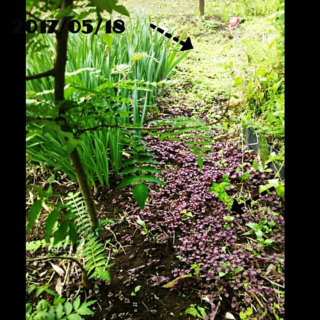 bousuke.215112さんの実例写真