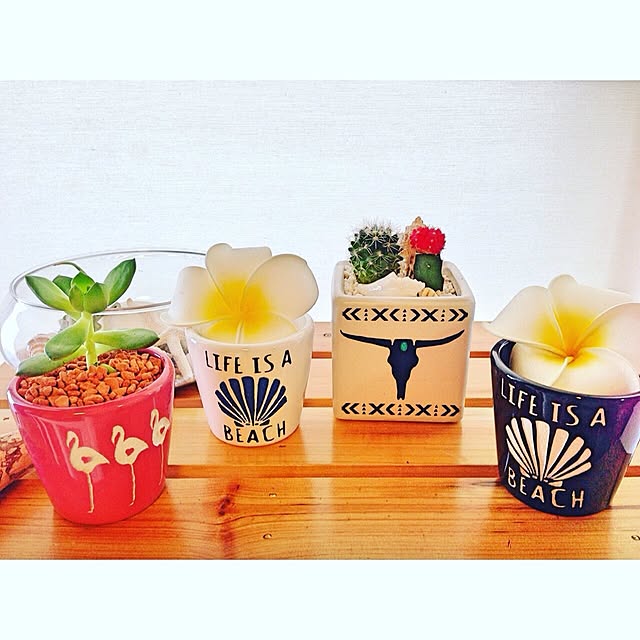 ALOHA_GLASSさんの実例写真