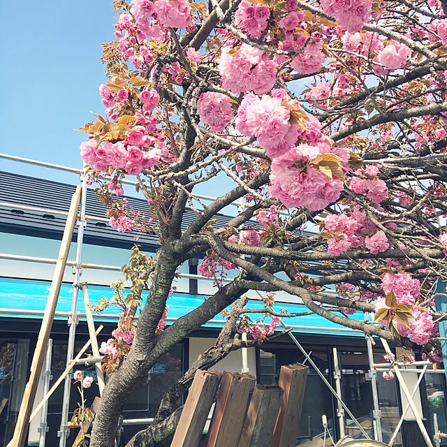 yuki.ni_tsuさんの実例写真