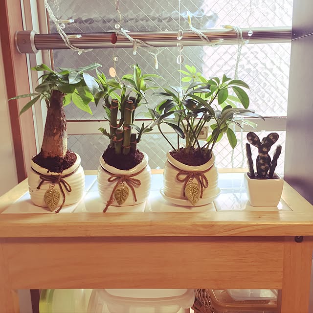 picoさんの実例写真