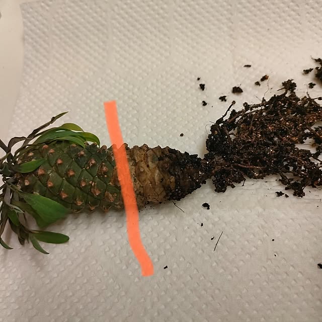 Yoko622さんの部屋