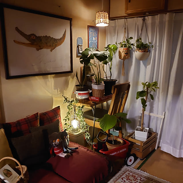 fukuさんの実例写真