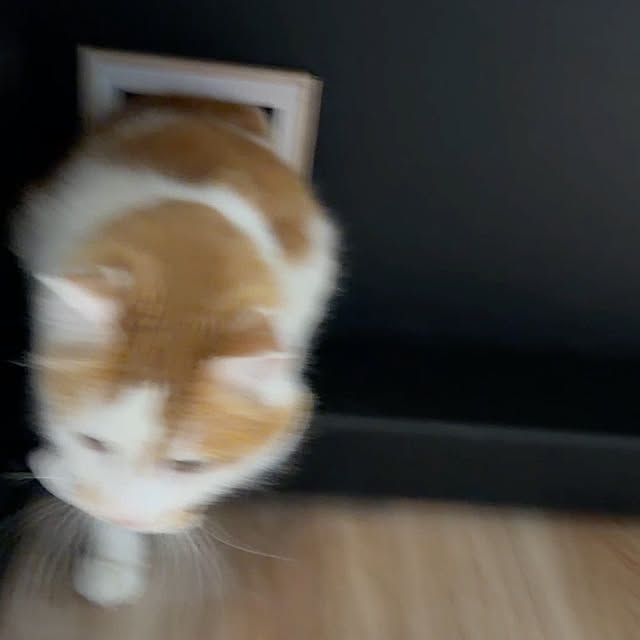 yutaさんの部屋