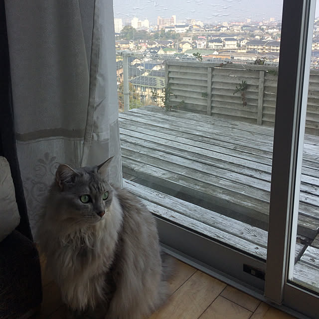 paakoさんの実例写真