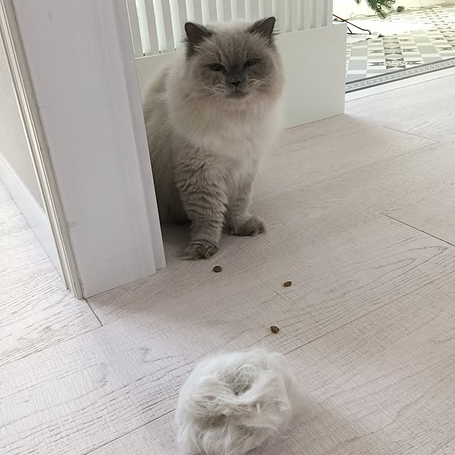 yuchiさんの実例写真