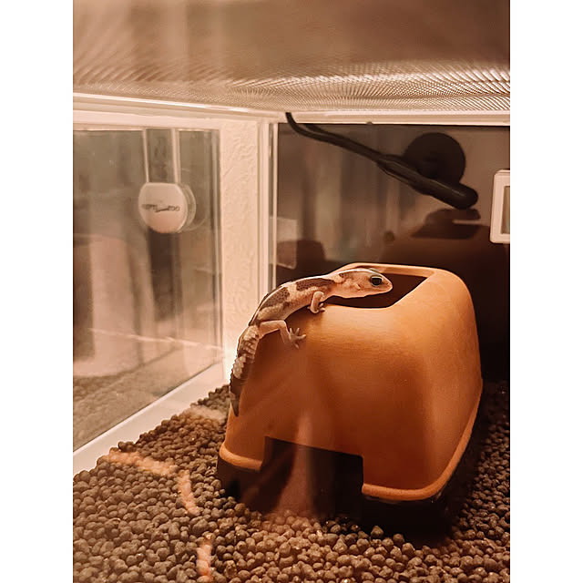 w_end_0625さんの実例写真