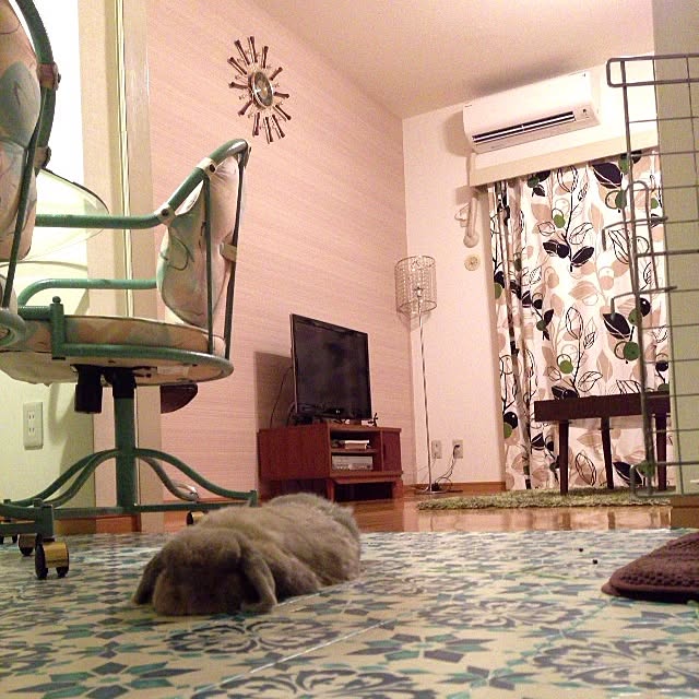 部屋全体のインテリア実例 - 2013-09-11 22:08:21