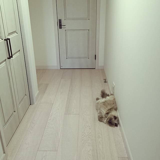 yuchiさんの実例写真