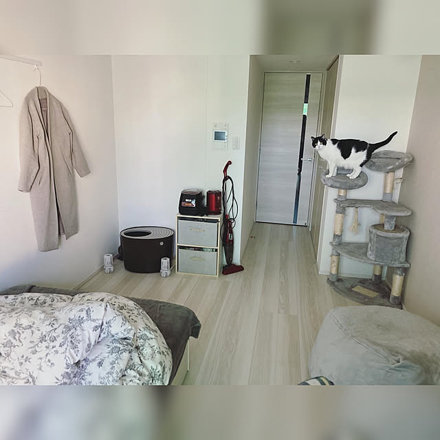 pochiさんの実例写真