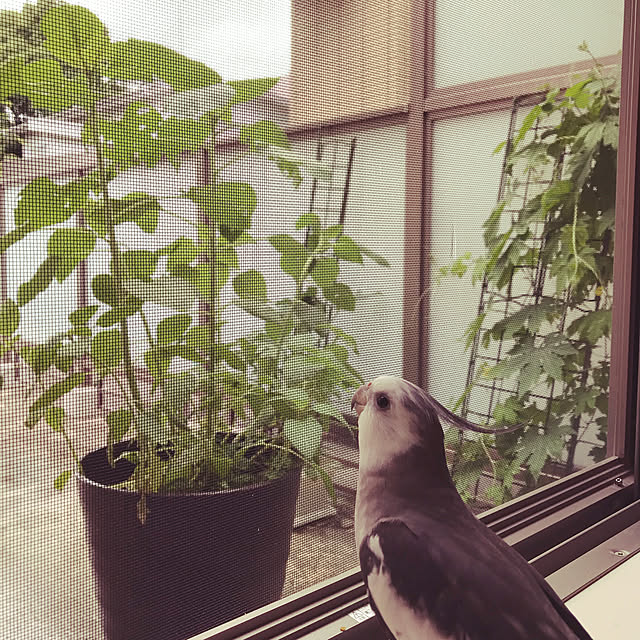 mukuさんの実例写真