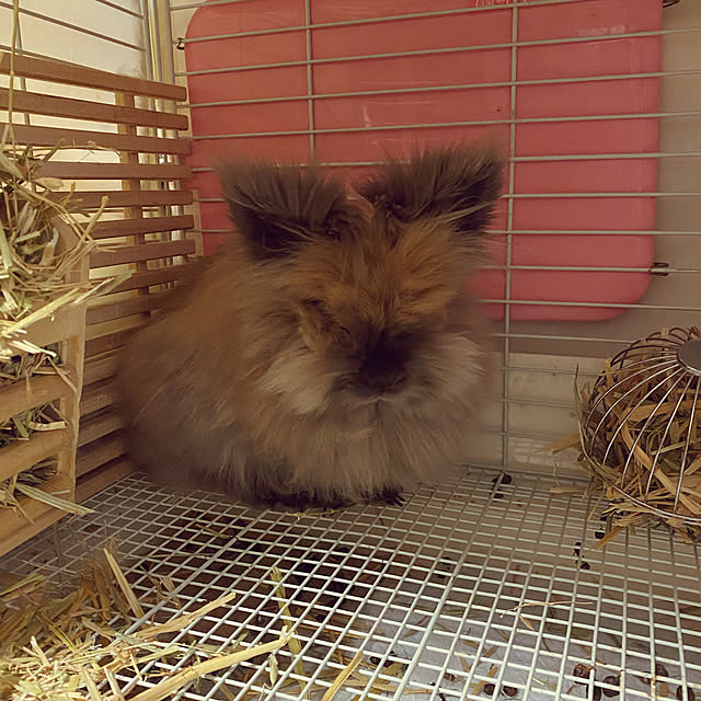 mさんの実例写真