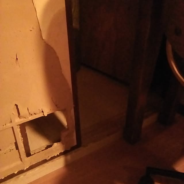 catloveさんの部屋