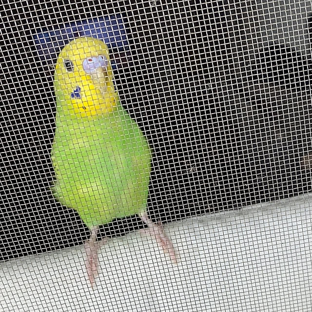 ohanaさんの部屋