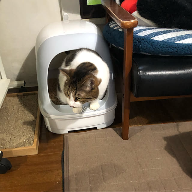 arayanさんの実例写真