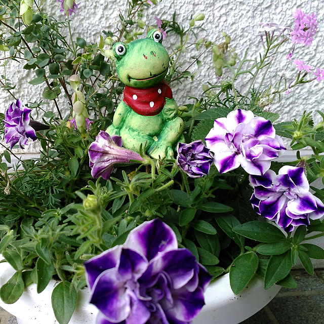 shoko0420さんの実例写真