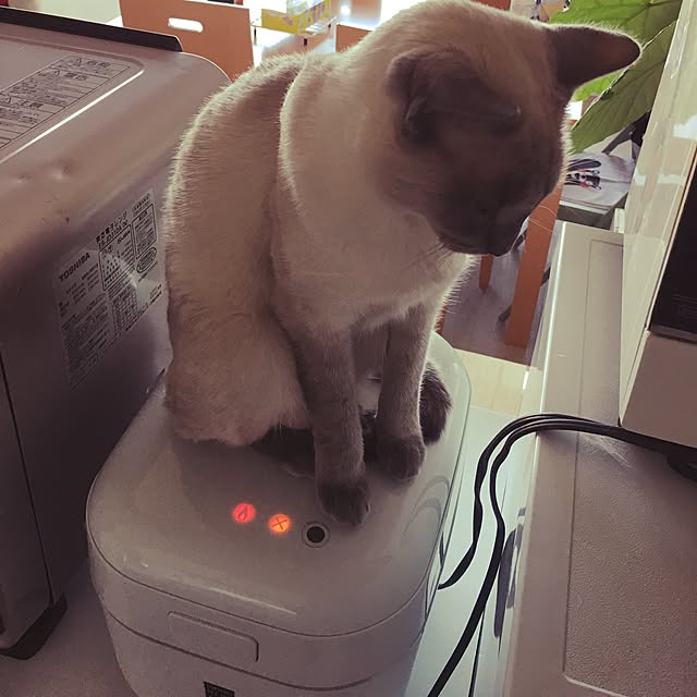 niko-25さんの実例写真