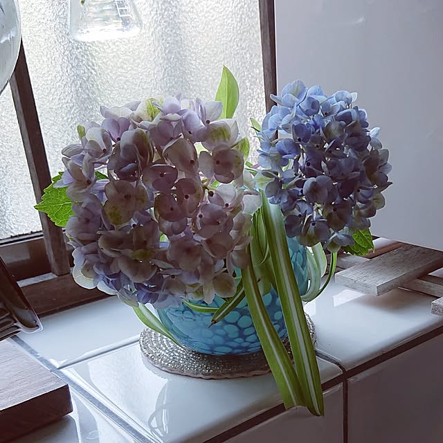 taeko0779さんの部屋