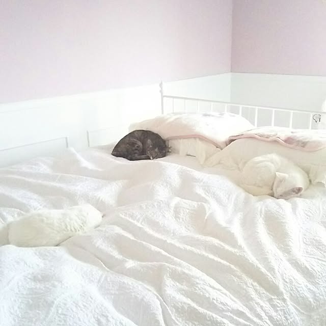 sakuraさんの実例写真