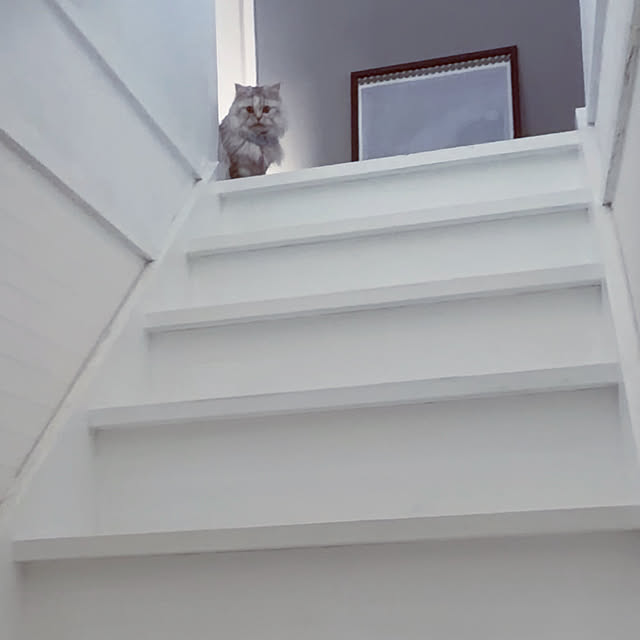 mya___kさんの実例写真