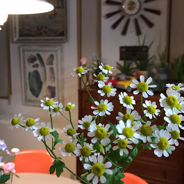 tsuyopipさんの実例写真
