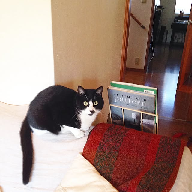 utataneさんの実例写真