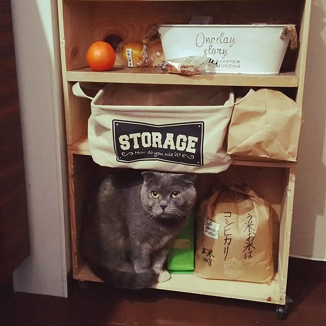 daiさんの実例写真